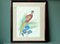 Chinese Artist, Birds, 1910s, Paintings on Rice Paper, Framed, Set of 2, Image 3