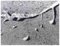 Harold Miller Null, Sand Shaped, Original Photograph, 1950s 1