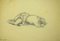 Leo Guida, mujer reclinada, dibujo a lápiz original, años 70, Imagen 1