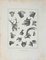 John Barlow, cabezas de animales, aguafuerte original, 1810, Imagen 1