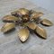 Vintage Bronzed Sconces, 1950s, Set of 2 8