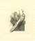 Thomas Holloway, La fisionomia: La civetta e il pavone, Acquaforte, 1810, Immagine 1
