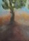 Roberto Cuccaro, Moonlight, Original Oil on Canvas, 2000s 2