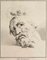 Thomas Holloway, Portrait of Man After Raphael, Original Etching, 1810, Image 1