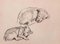 Pierre Georges Jeanniot, Puppies, Original Pencil on Paper Drawing, Early 20th Century 1