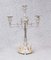 Silver Plate and Glass Epergne Tray 9