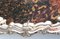 Bandeja de mayordomo victoriana bañada en plata, Imagen 5