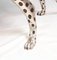Art Deco Gepard Katze aus Silber & Bronze in Statue 11
