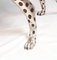 Art Deco Silver Plate & Bronze Cheetah Cat in Statue 11