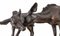 Vintage Bronze Deer Statues 5