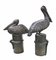 Large Bronze Pelicans Statues, Set of 2 1