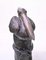 Large Bronze Pelicans Statues, Set of 2, Image 7
