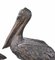 Large Bronze Pelicans Statues, Set of 2 11