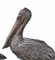 Large Bronze Pelicans Statues, Set of 2, Image 11