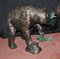 Amerikanischer Grizzlybär Bronze Statuen Lachs, 2 . Set 6