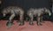 Bronze American Grizzly Bear Fountains Statues Salmon, Set of 2 1