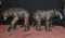 Bronze American Grizzly Bear Fountains Statues Salmon, Set of 2, Image 1
