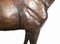 Cavallo in bronzo francese a grandezza naturale, Immagine 6