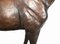 Lifesize French Bronze Horse 6