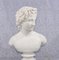 Sculpture Young David Stone Bust Statue 1