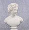 Sculpture Young David Stone Bust Statue, Image 8
