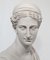 Classical Art Bust of Diana the Hunter 2