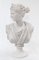 Busto de arte clásico de Diana la Cazadora, Imagen 1