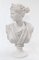 Busto de arte clásico de Diana la Cazadora, Imagen 8