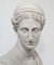 Classical Art Bust of Diana the Hunter 12