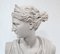 Busto de arte clásico de Diana la Cazadora, Imagen 6