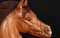 Escultura de busto de caballo italiano tallado a mano, Imagen 7