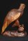 French Hand Carved Falcon Bird Statue 6