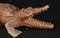 Hand Carved Crocodile Alligator Statue, Image 2