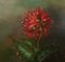Dutch Artist, Still Life with Floral Spray, 1980s, Oil on Canvas, Framed 3