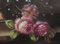Artista olandese, natura morta floreale, pittura ad olio, Incorniciato, Immagine 6