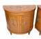 Adams Side Cabinets in Satinwood with Painted Regency Interiors, Set of 2 2