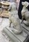 Large English Stone Guard Dogs Garden Statue, Set of 2 4