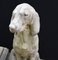 Statuetta da giardino grande in pietra di cani da guardia, Regno Unito, set di 2, Immagine 10