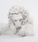 Italienische Löwen-Torwächterstatuen aus weißem Stein, 1980er, 2er Set 6