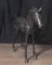 Bronze Pferd Fohlen Colt Pony Statue Architectural Garden Art 9