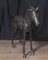 Statua Bronzo Cavallo Puledro Colt Pony Architectural Garden Art, Immagine 9