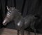 Statua Bronzo Cavallo Puledro Colt Pony Architectural Garden Art, Immagine 4
