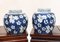 Chinese Blue and White Porcelain Urns Nanking Jars, Set of 2 1