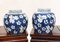 Jarrones Nanking de urnas chinas de porcelana azul y blanca. Juego de 2, Imagen 1