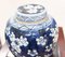 Chinese Blue and White Porcelain Urns Nanking Jars, Set of 2 5