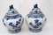 Nanking Porcelain Temple Jars in Blue and White 9