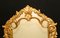 French Rococo Gilt Pier Mirror Floral Frame in Glass, Image 4