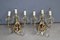 Brass Nail Polish and Crystals Wall Lamps, 1950s, Set of 2 1