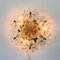 Mid-Century Floral Murano Glass Flush Mount or Wall Light attributed to Ernst Palme for Palwa, Germany, 1970s 3