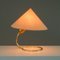 Brass Table Lamp attributed to J.T Kalmar, Austria, 1950s 14